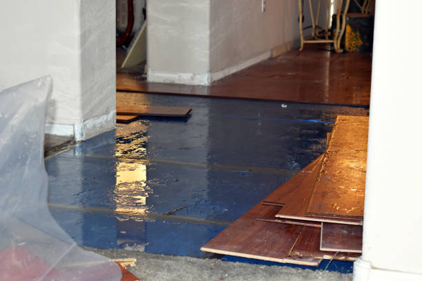 Professional Water Extraction technician working in Birnamwood, WI